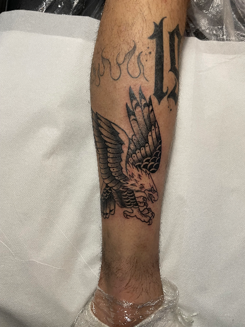 Traditional Eagle