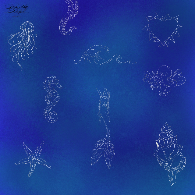 Sea life flash