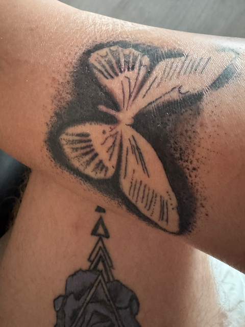 Dot work butterfly