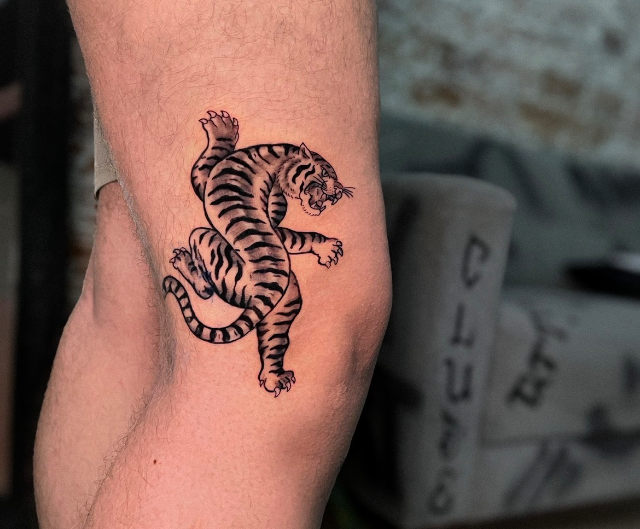 Tiger traditional