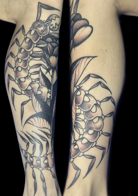 Centipede freehand