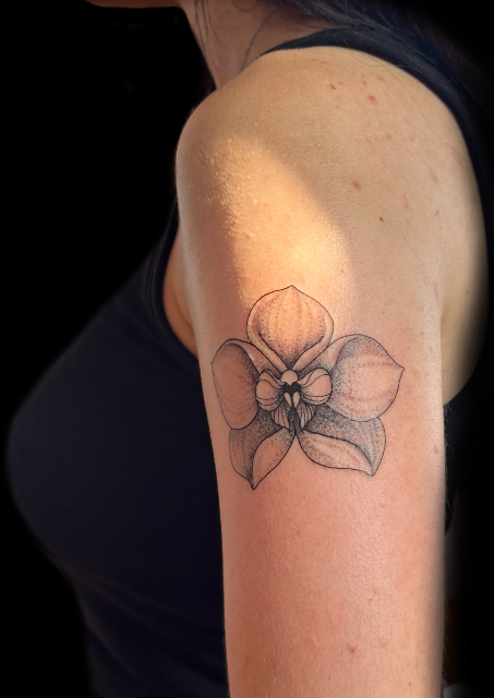 Orchid