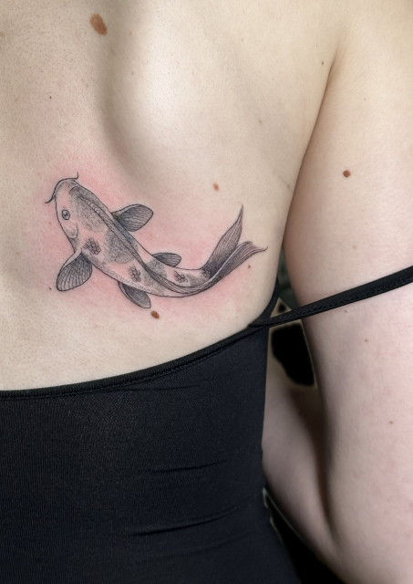 Koi