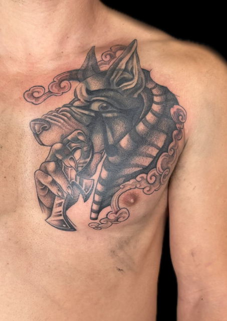 Anubis cover up
