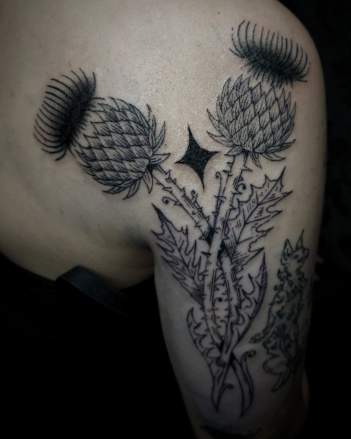 Engraving style thistles