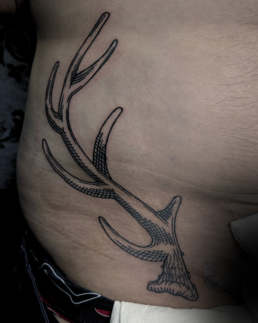 Symmetrical antler hip