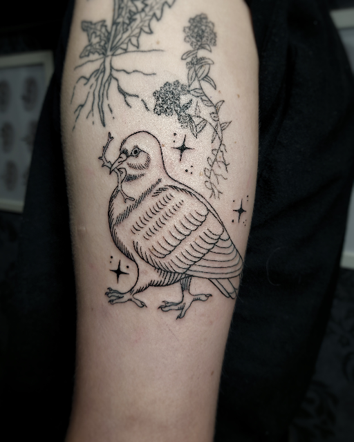 Pigeon with stars