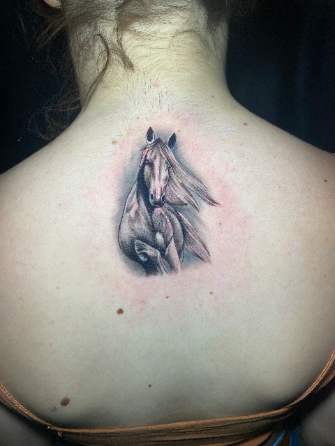 Horse tattoo