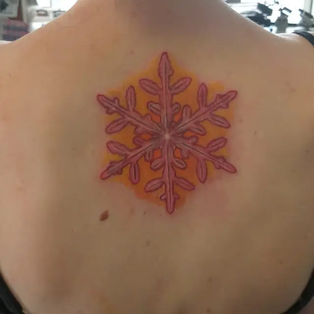 Snowflake Cover-Up
