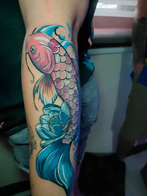 Koi fish
