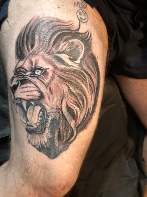 Lion