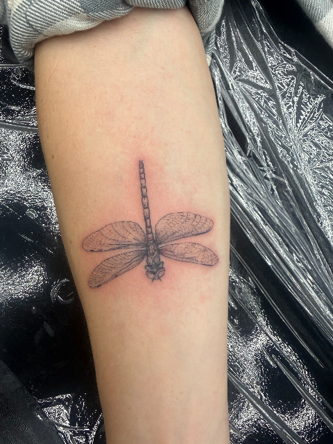 Dragonfly
