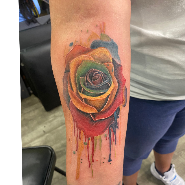 Rose