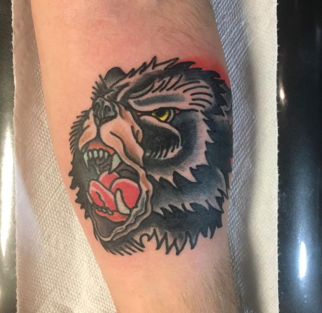Bear