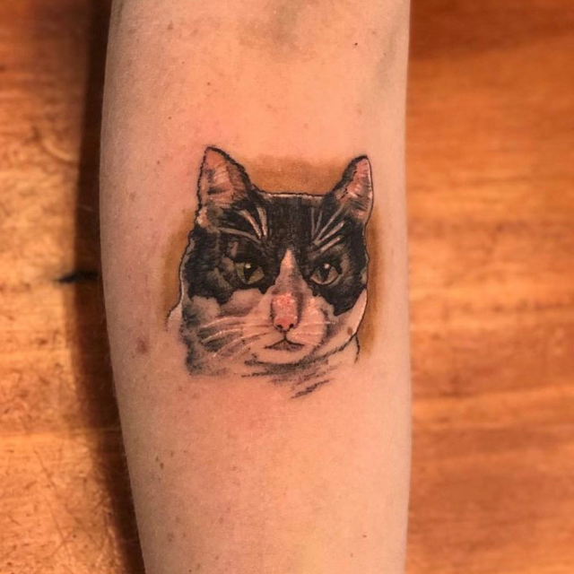 Cat