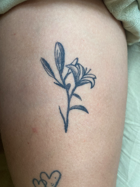 Healed lilly