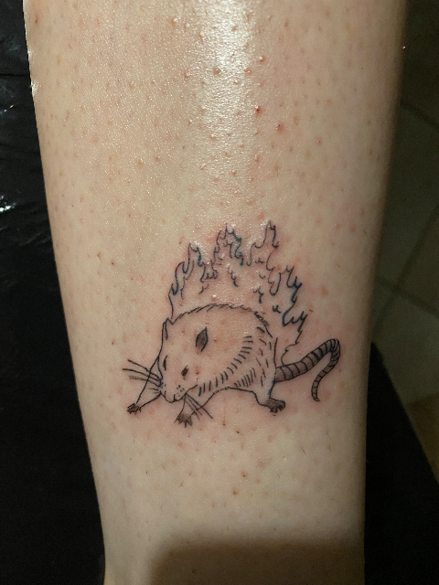 Fresh Fiery rat