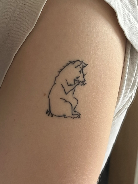 Healed boar #1
