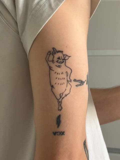Healed boar #2