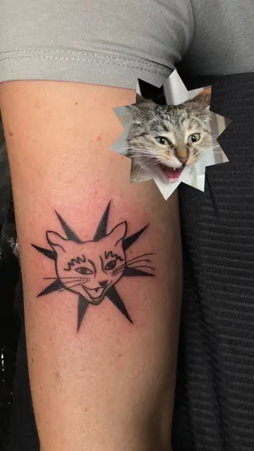 Portrait of a cat