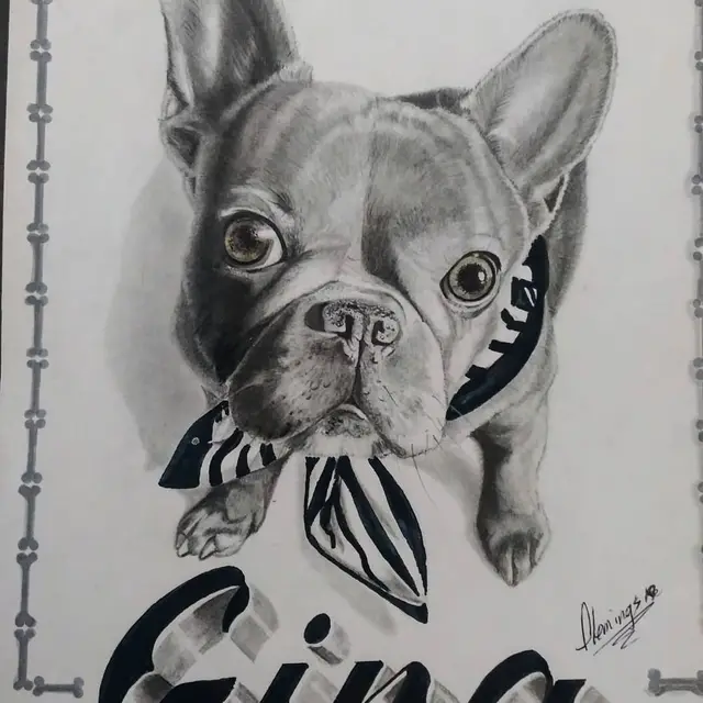 Wayne  Flemings portfolio work 39