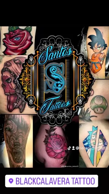 francisco  almonte santos portfolio work 32