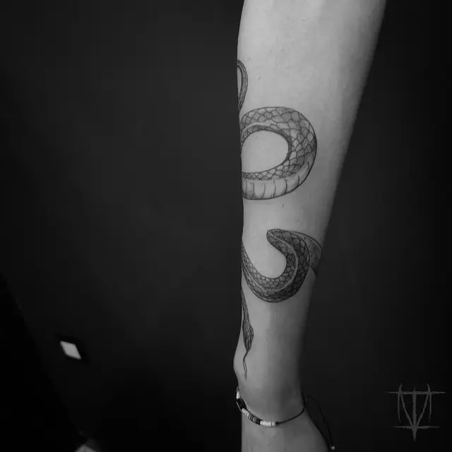 Ivan Volgare portfolio work 4