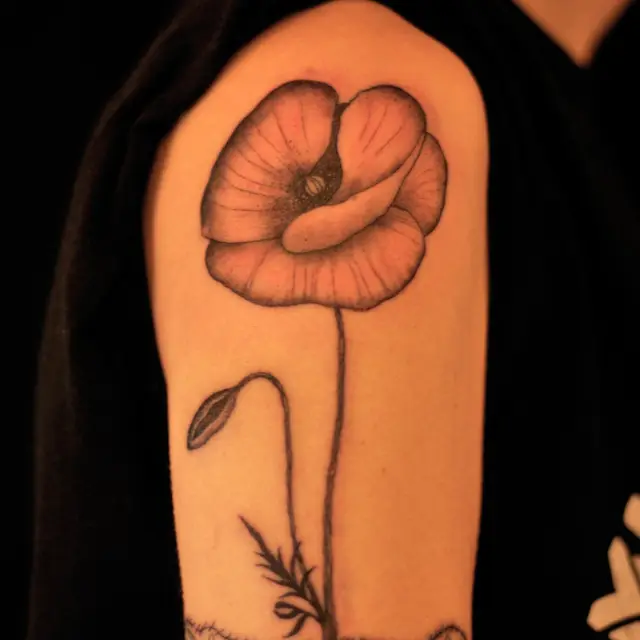 Tatsiana Melnikava portfoliowerk 5