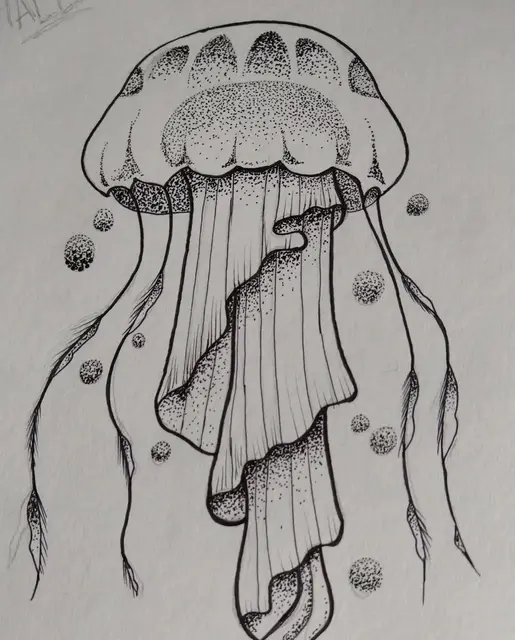 Lily Bakken portfolio work 2