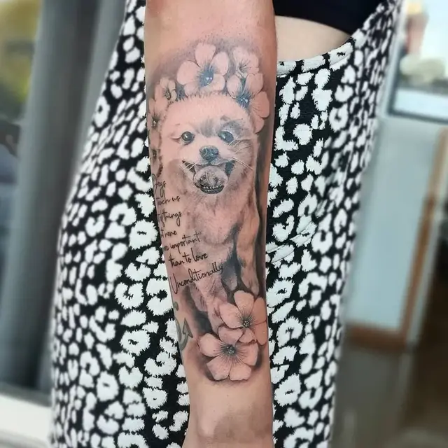Rui Miguel dos Santos Gomes portfolio work 24