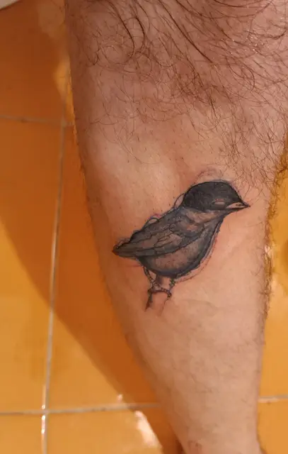 Bird sketch (fresh)