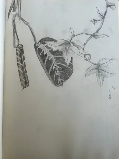 Ilse van Ginkel  portfolio work 9