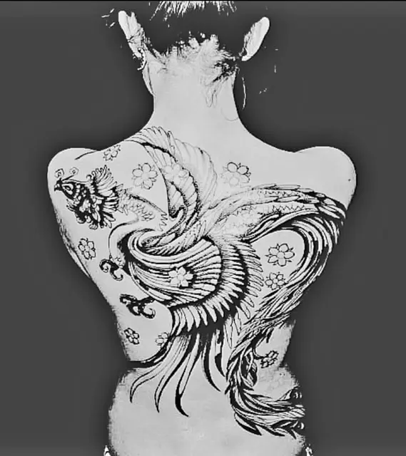 Rodolpho  Rodriguez portfolio work 4