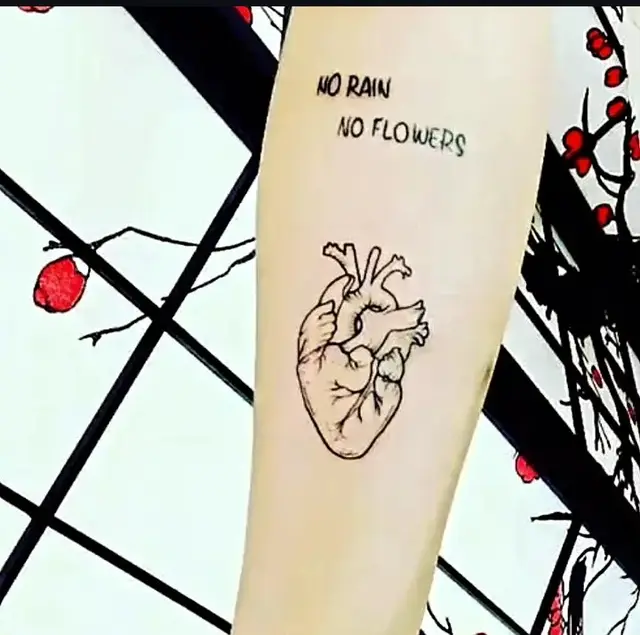 Heart ❤️