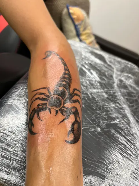 Josip Culjak portfolio work 10