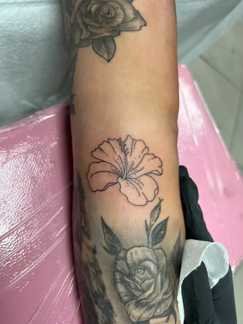 Kassandra Lopez portfolio work 14