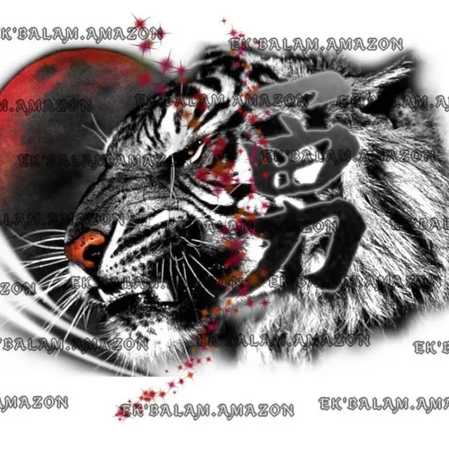 Mia Taborsky portfolio work 11