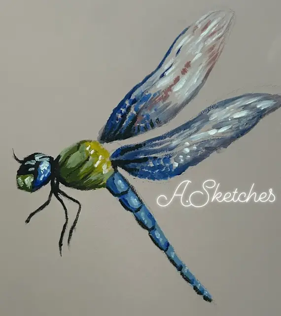 Alice Smith portfolio work 6