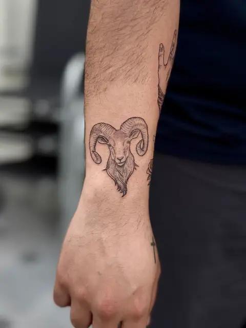 Capricorn/ goat