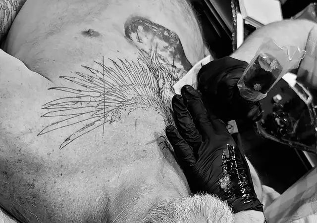 Randall Olson portfolio work 1