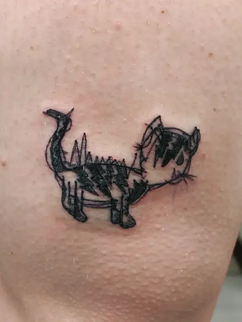 Cat sketch