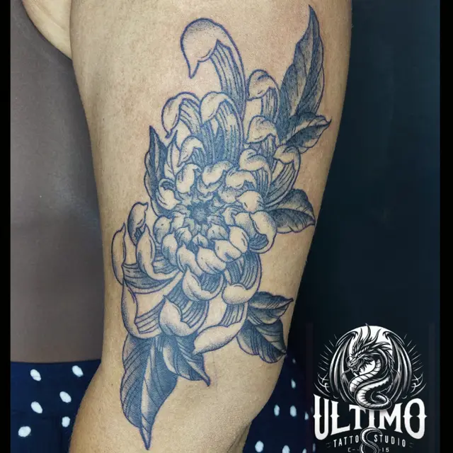 Aranzazu  Saez portfolio work 4