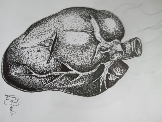 Unknown Artist portfolio work 28