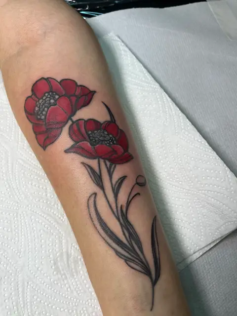 Poppy flowers healed after touch up
