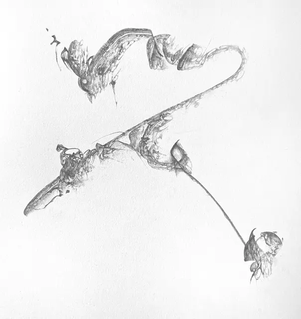 tay newton portfolio work 3