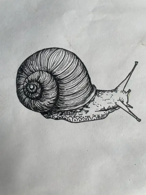 Unknown Artist portfolio work 8