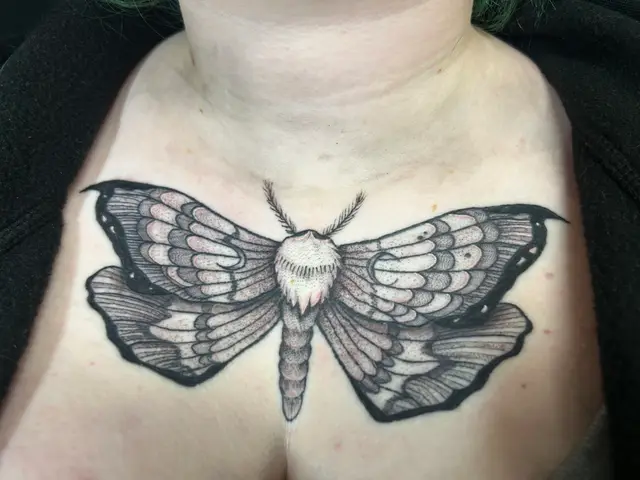 American Traditional Tattoo Artist United States C2e46f portfolio work 5