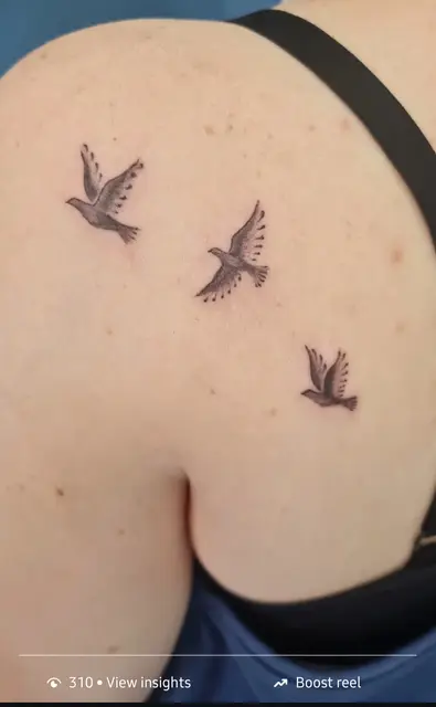 Freedom