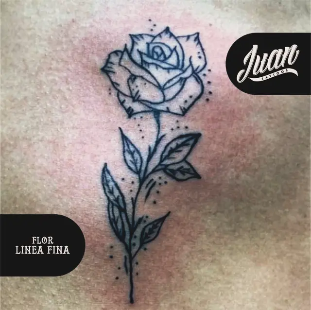 Juan carlos  Arias ballen portfolio work 15