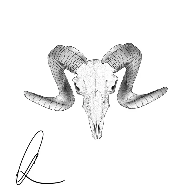 Andor Csapo portfolio work 19